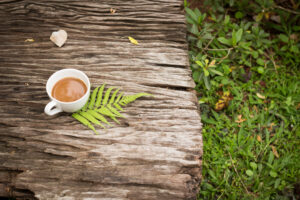 mushrooms vs coffee