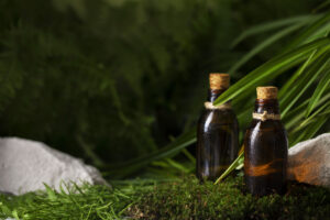 infusion vs. tincture