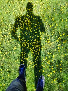 addiction recovery with CBD